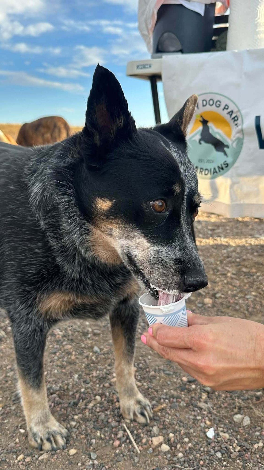 PupCup4All PupCup4All