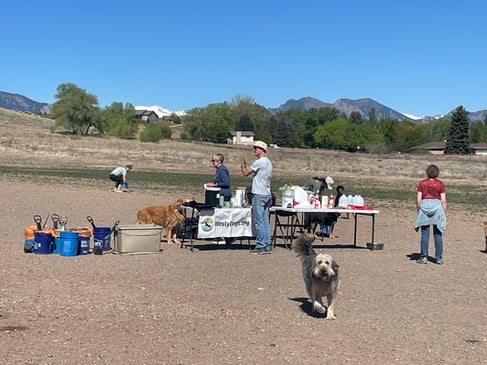 PupParty7