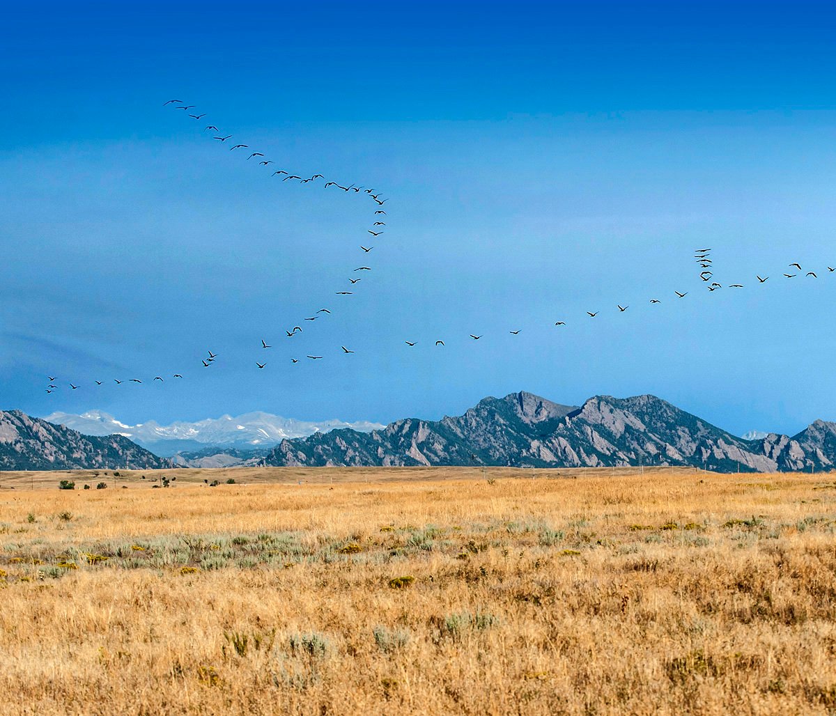 e_190828_004-241123_333MX-c3.5x