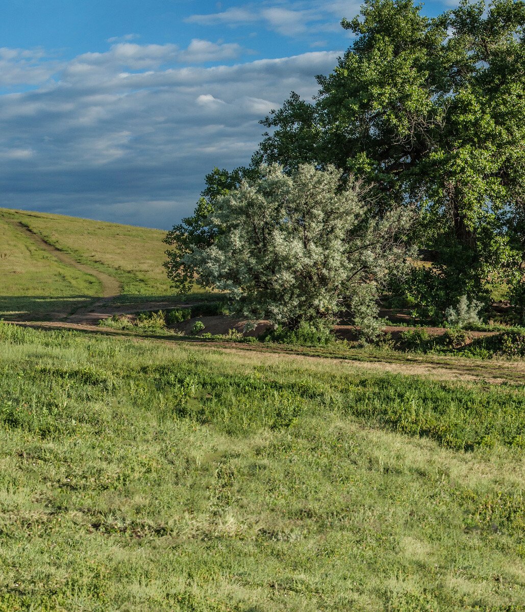 e_210627_064Pano-MX-SCENIC-c3x3.5