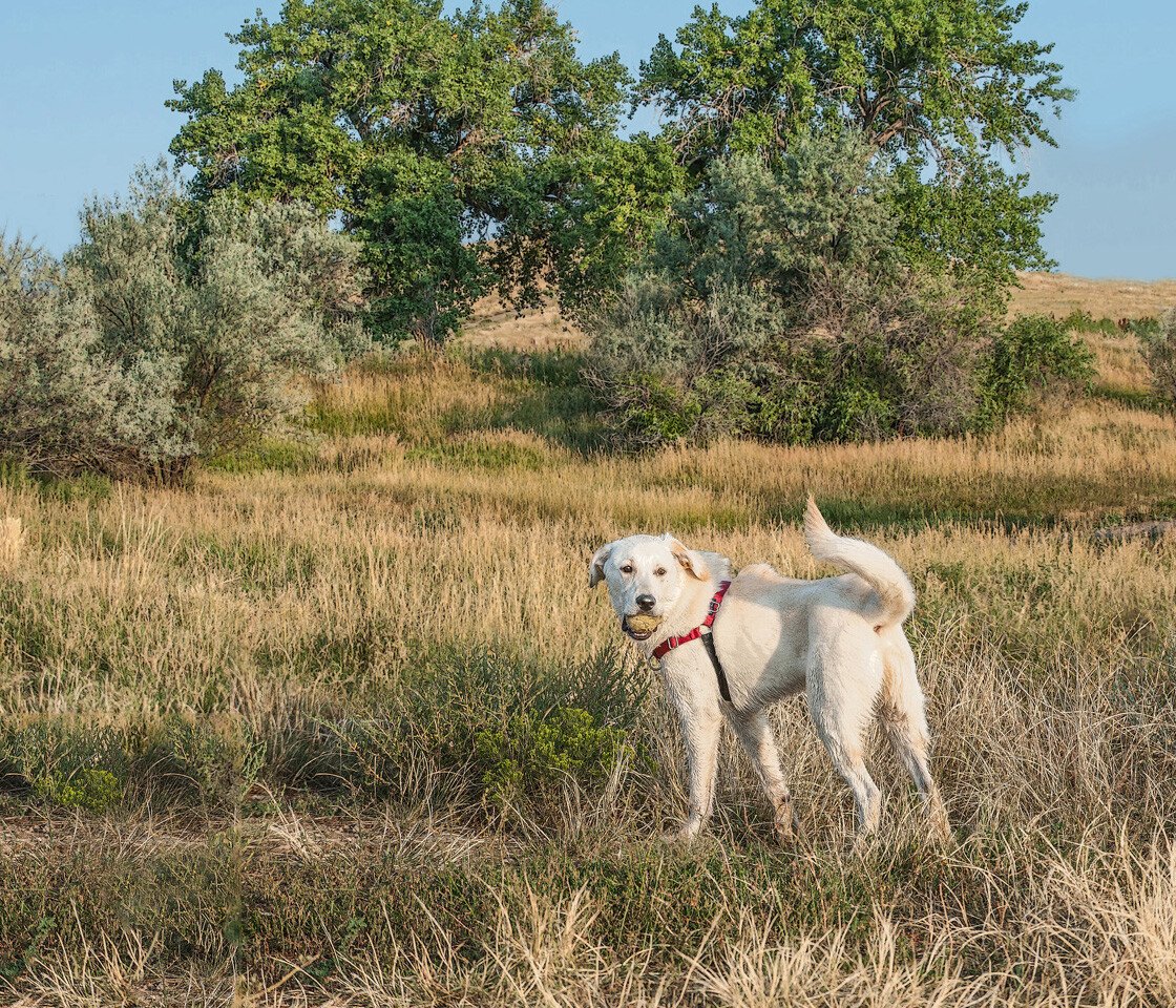 e_210812_012-027MX-P3.5x3c