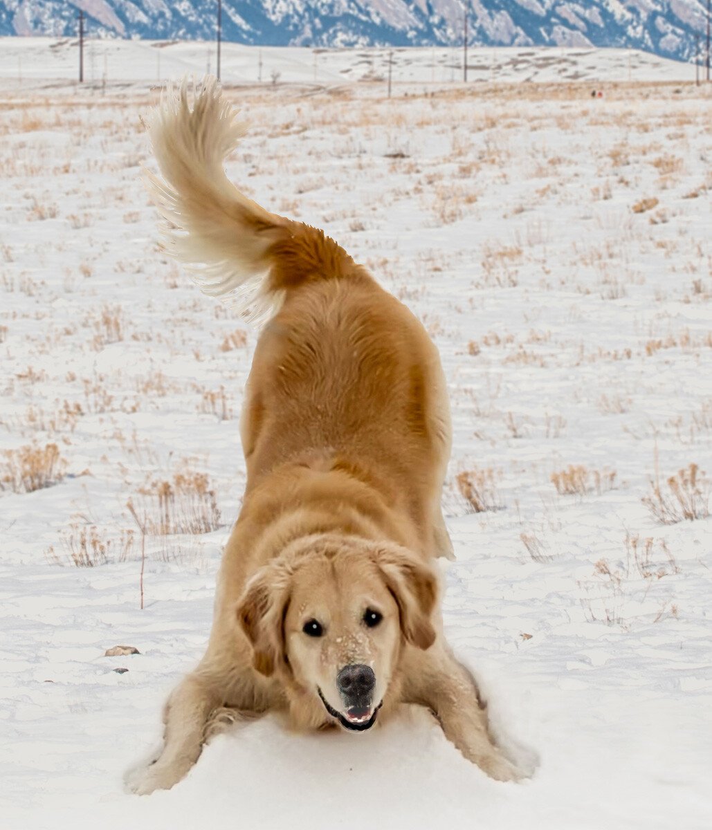 e_250121_IMG_6826FX2-MXc3x3