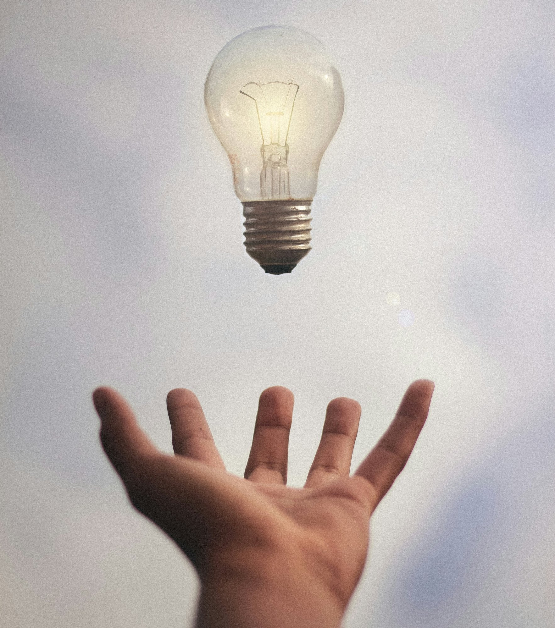 junior-ferreira-7esRPTt38nI-unsplash-1 junior-ferreira-7esRPTt38nI-unsplash-1