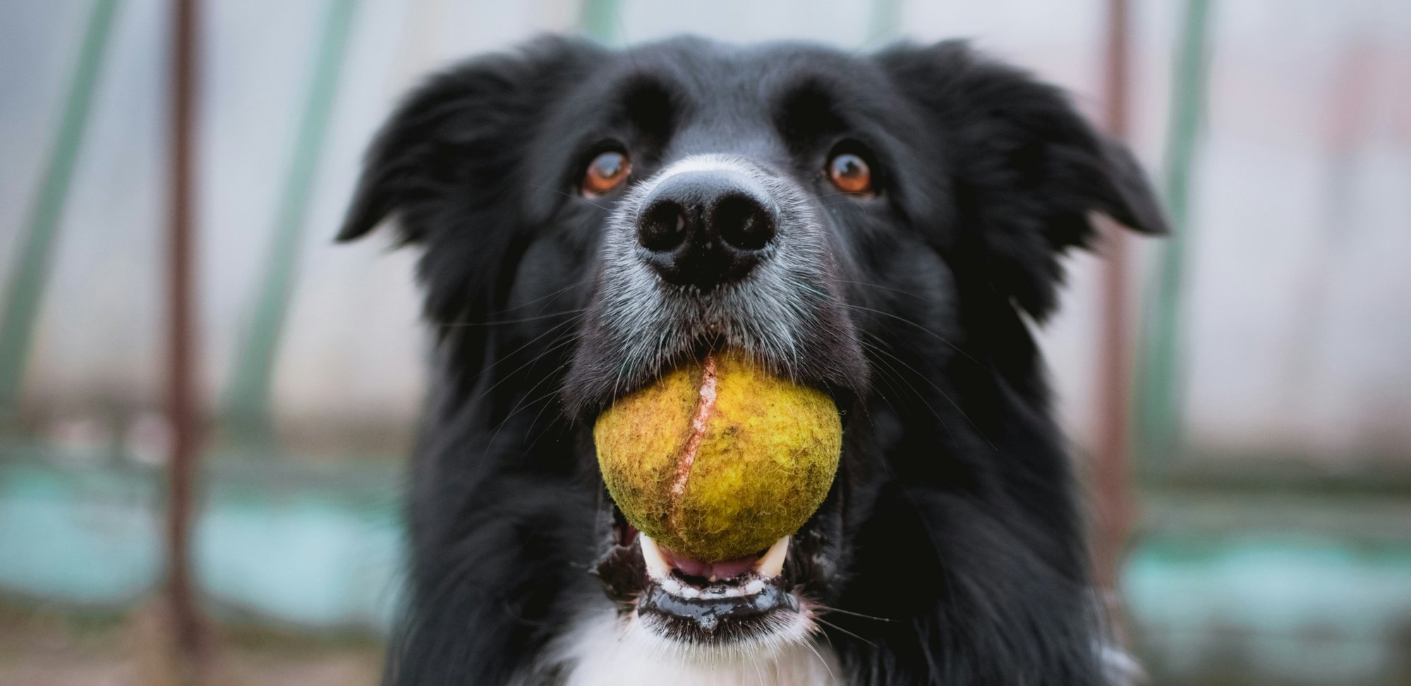 tadeusz-lakota-GFFoVUqcO4k-unsplash tadeusz-lakota-GFFoVUqcO4k-unsplash