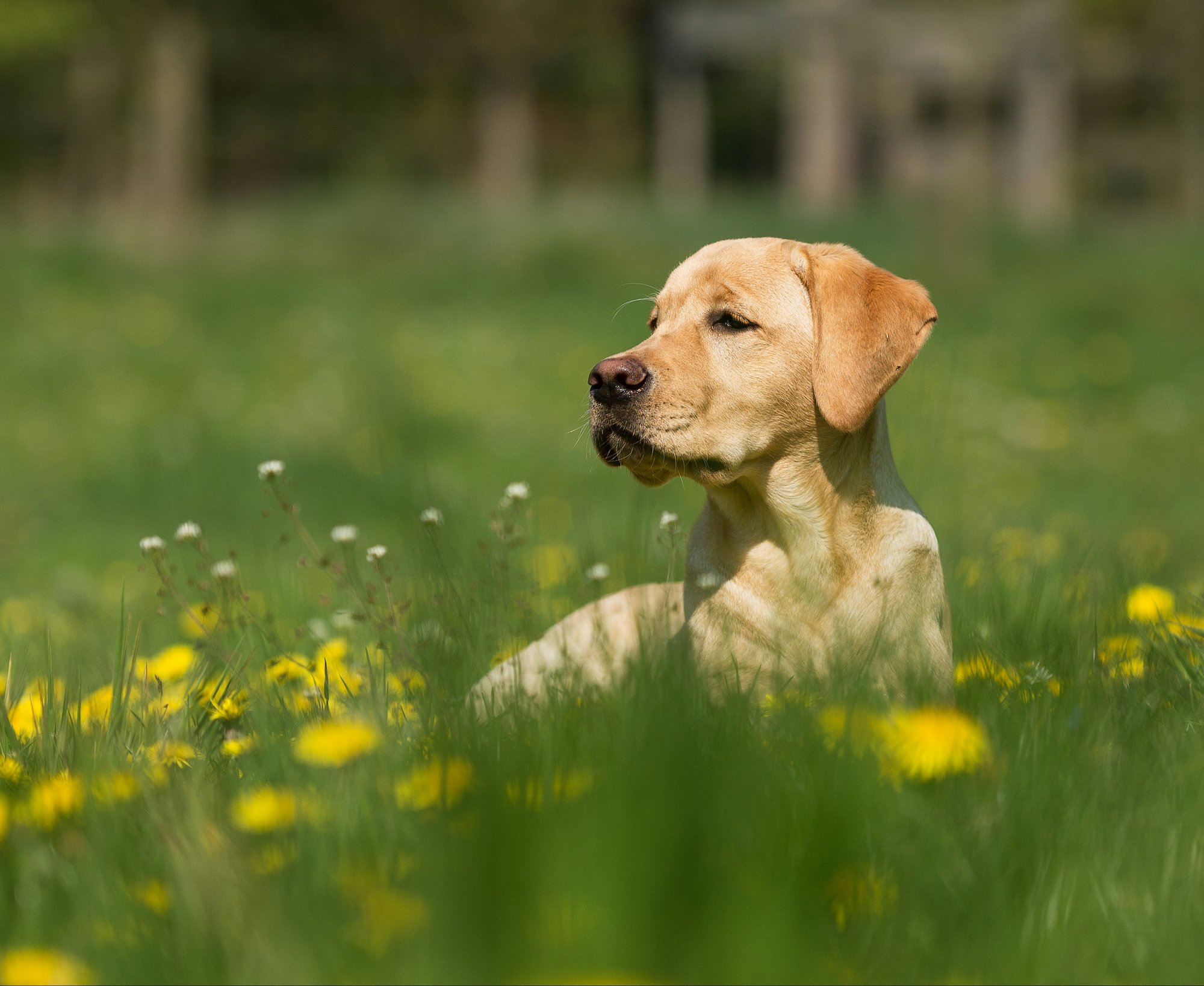 vincent-van-zalinge-Q6mPgrzcsVY-unsplash vincent-van-zalinge-Q6mPgrzcsVY-unsplash