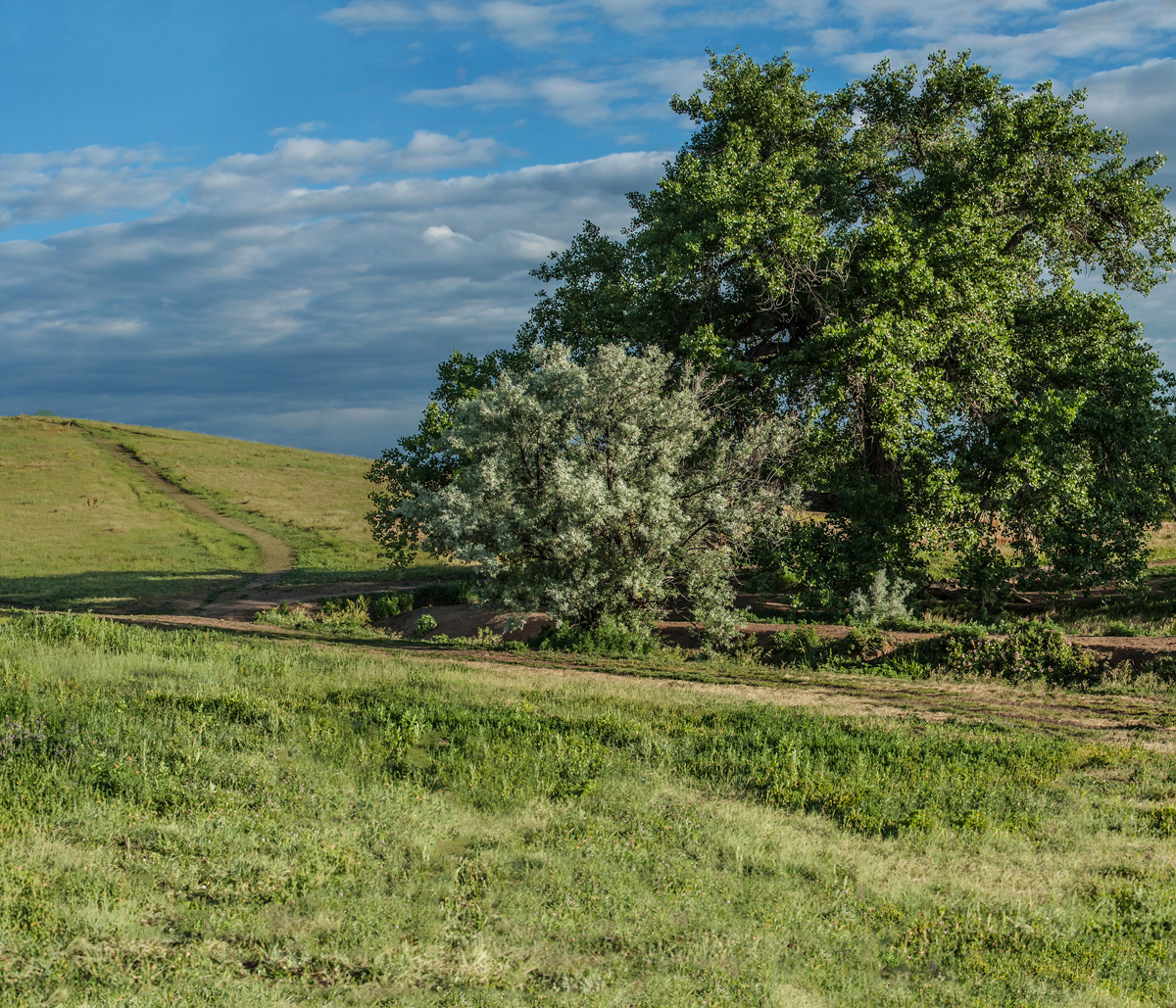 210627_064Pano-MX-SCENICc3.5X3 (1)