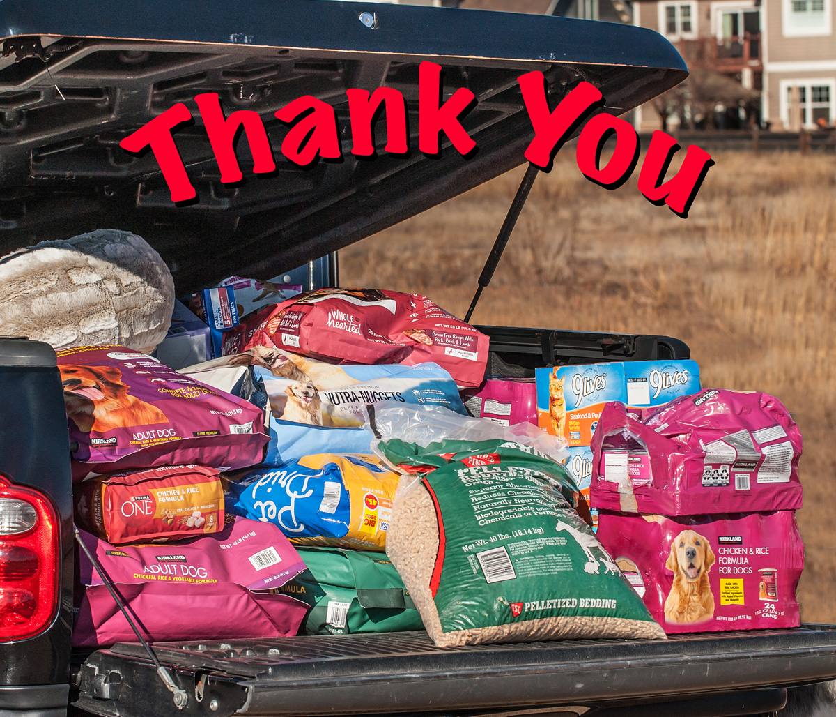 e_251122_287c-3.5x3-Thanks