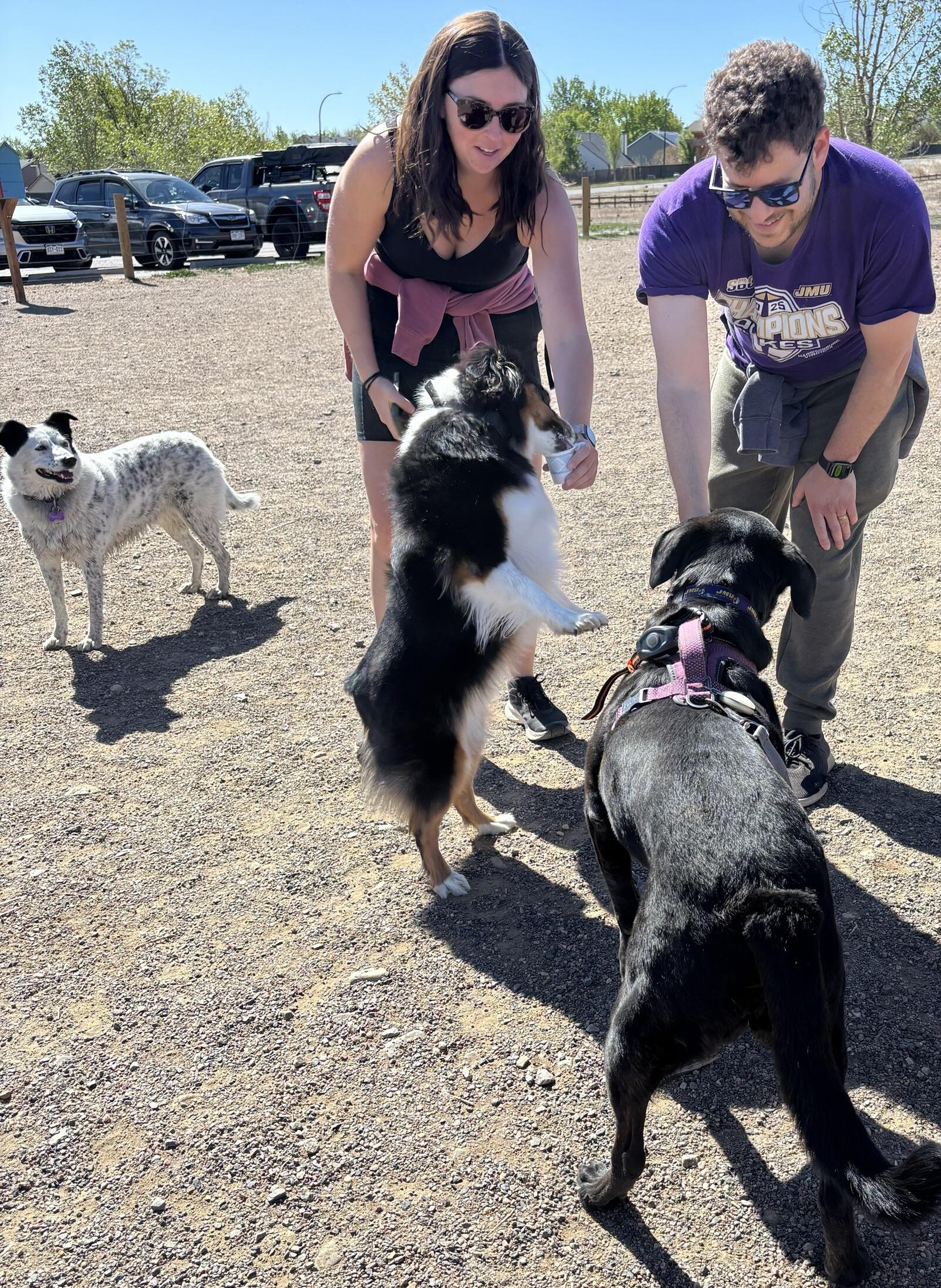 pupparty8_compressed